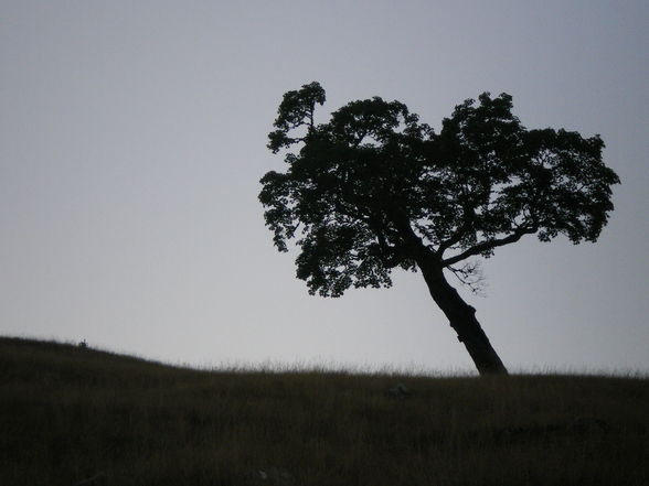 Wanderung in Dürnstein - 