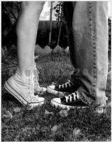 converse and vans - 