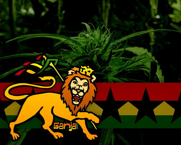 -->__Rastafari**__Lion__**Rastafari__ - 