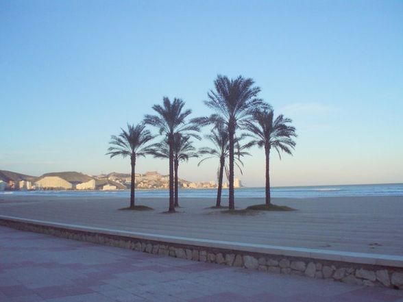 Cullera - 