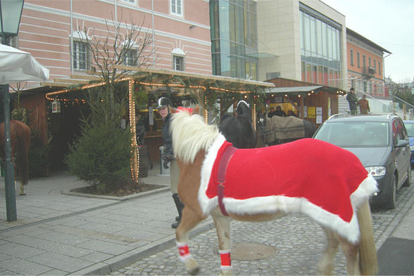 ASKÖ-Tennis-Punschstand 2009 - 