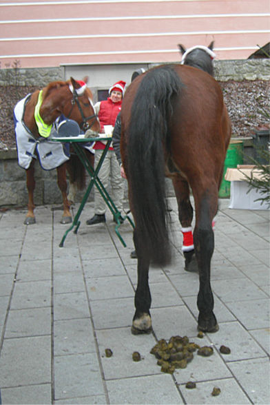 ASKÖ-Tennis-Punschstand 2009 - 