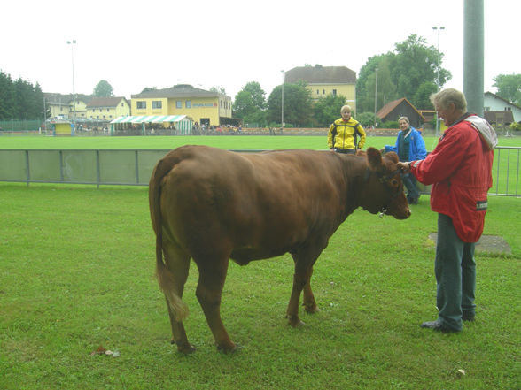 Brucker Fladenroulette 2010 - 