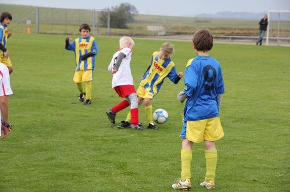 Fußball U11 in Neukirchen 24.10.2010 - 