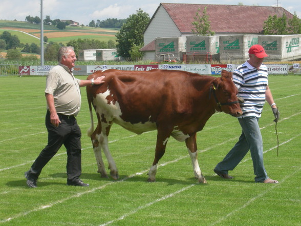 Brucker Fladenroulette 2011 - 