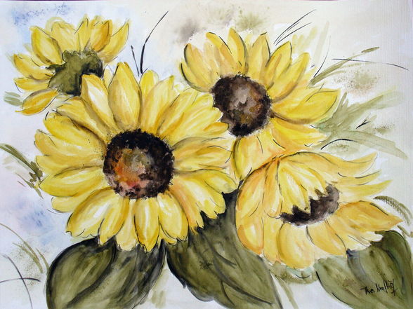 sonnenblumen - 