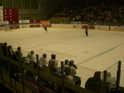 Eishockey - 