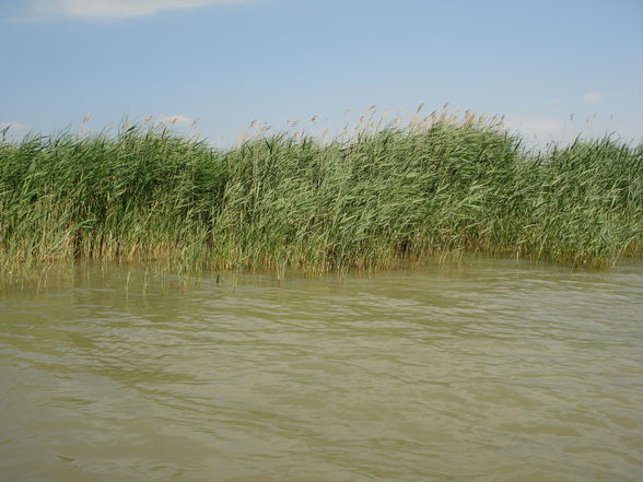 Burgenland, das schöne land! =) - 