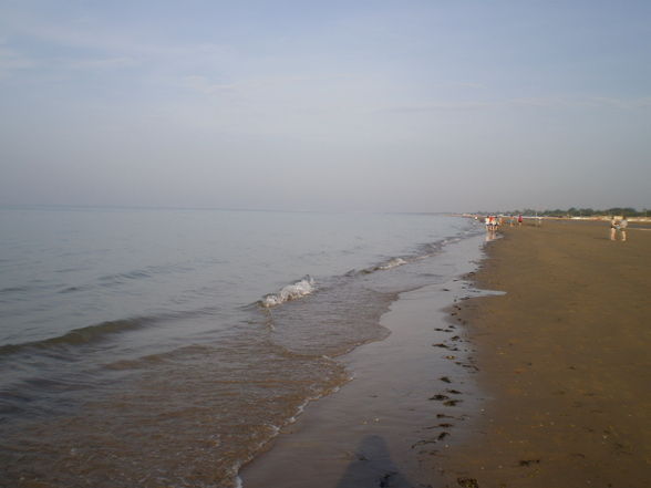 BIBIONE!!!!!!!!!!! - 