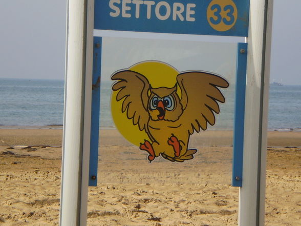 BIBIONE!!!!!!!!!!! - 