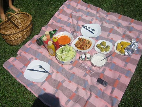 Picknick bei da Vroniiii - 