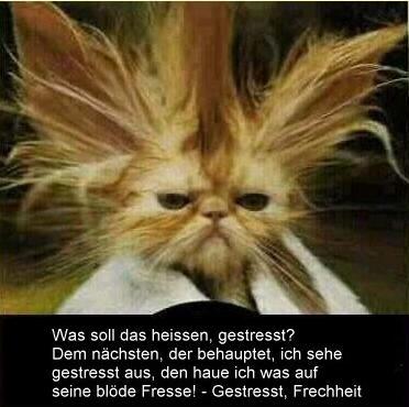 Zum Lachen - 