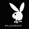 Playboybunny - 