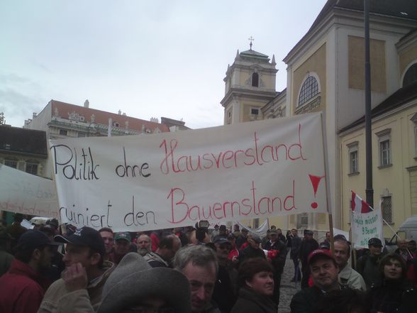 Demo in Wien - 