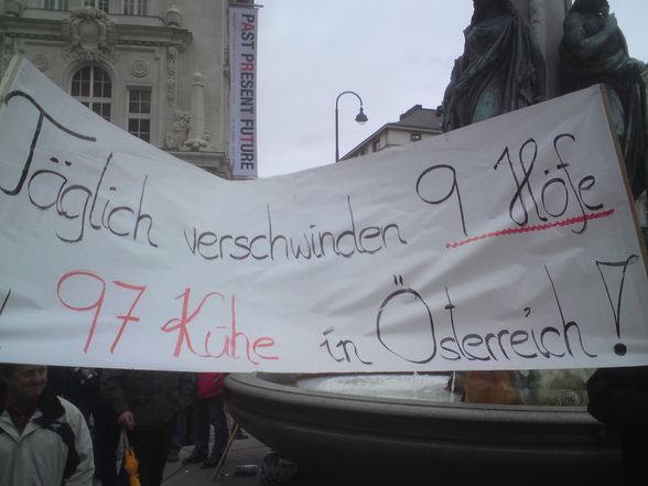 Demo in Wien - 