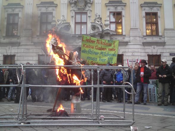 Demo in Wien - 