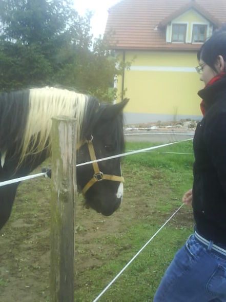 Illi mit ihrn killerpony!!!!*gg* - 