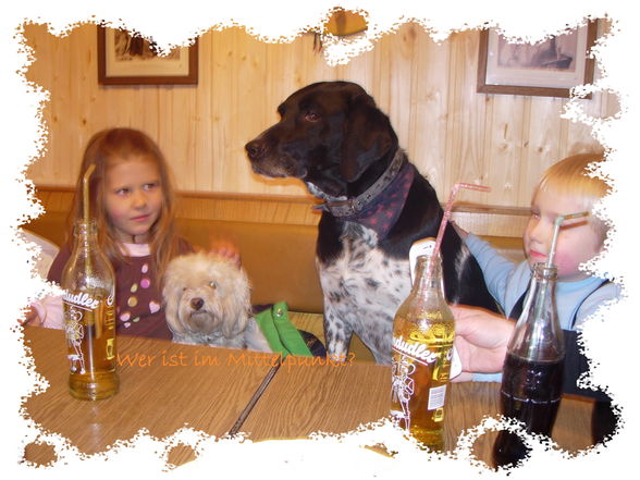 Silvester 2008 - 