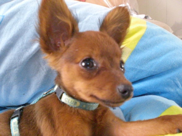 HURA HURA die Jessy ist schon da *fg* - 