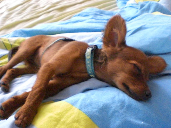 HURA HURA die Jessy ist schon da *fg* - 