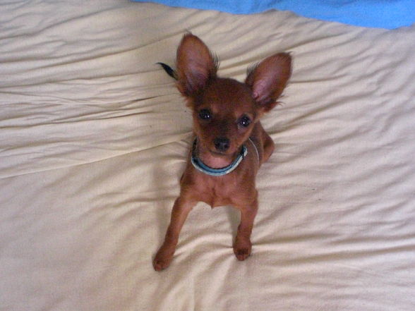 HURA HURA die Jessy ist schon da *fg* - 