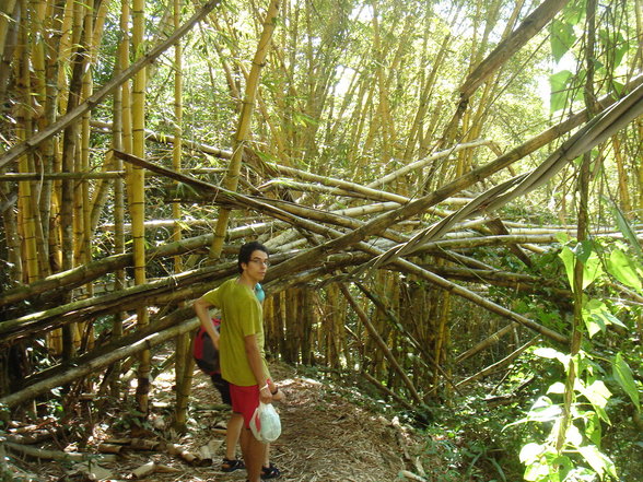 Ilha Grande - 