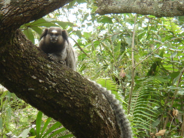 Lencois & Chapada da Diamantina - 