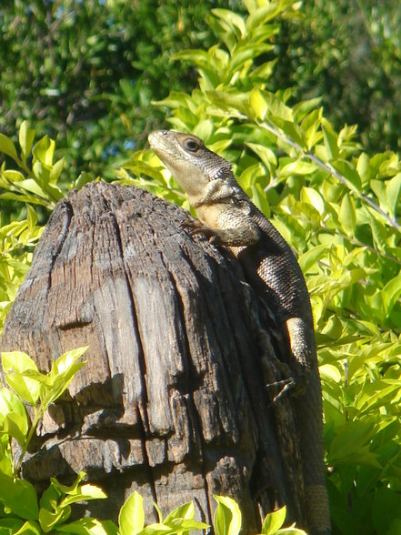 Lencois & Chapada da Diamantina - 