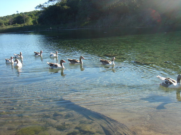 Lencois & Chapada da Diamantina - 