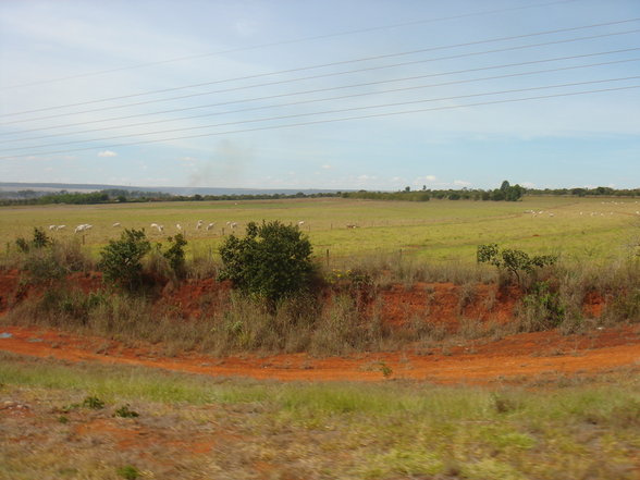 Sao Jorge & Chapada dos Veadeiros - 