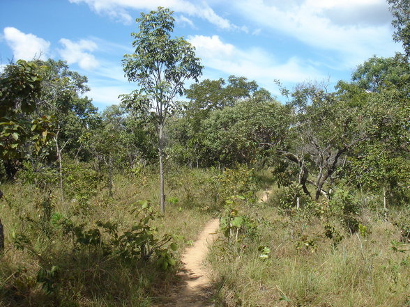 Sao Jorge & Chapada dos Veadeiros - 