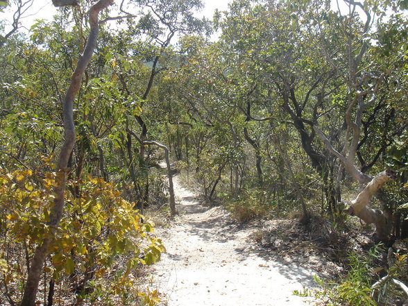 Sao Jorge & Chapada dos Veadeiros - 