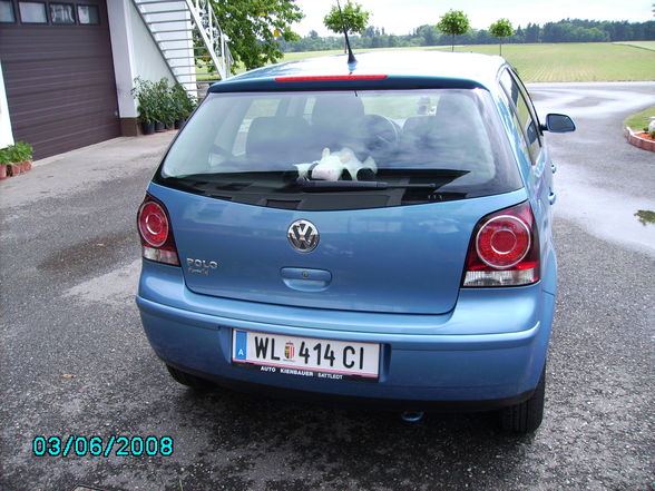 Meine Autos!! *gggg* - 