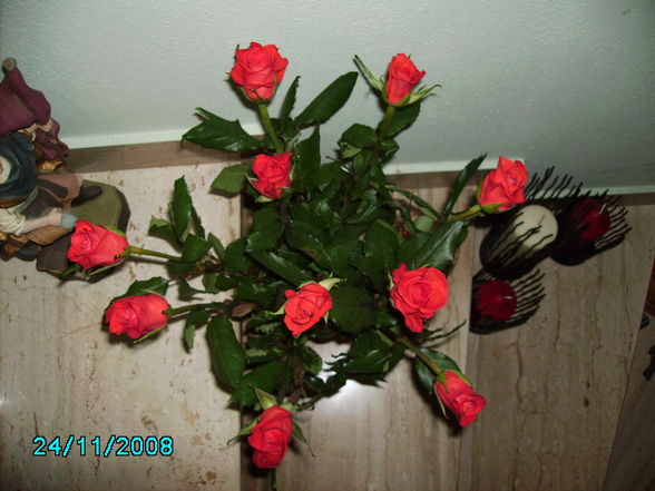 Blumen!! - 