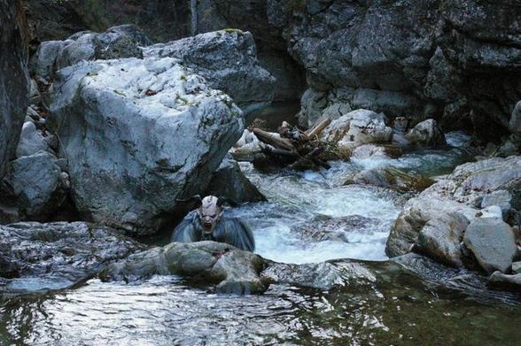 Fotoshoting der Wasserteufeln 2008 - 