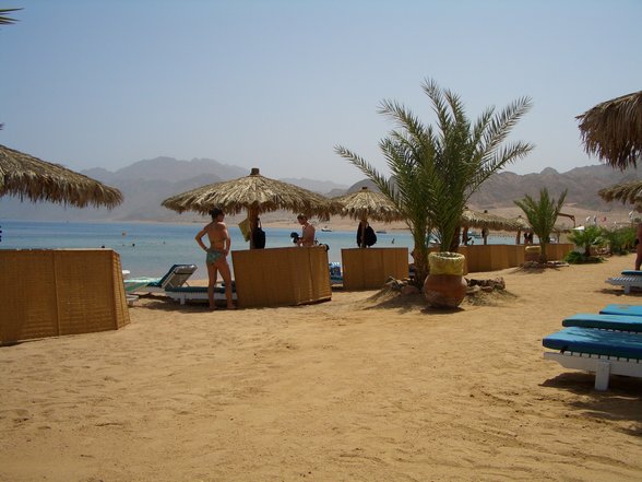 DAHAB 31.5-14.6.2007 - 