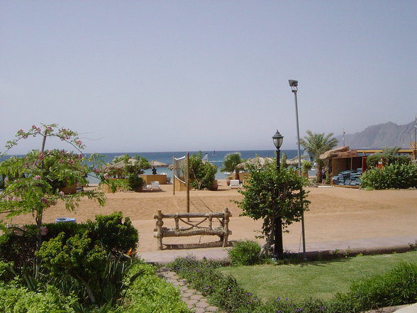 DAHAB 31.5-14.6.2007 - 