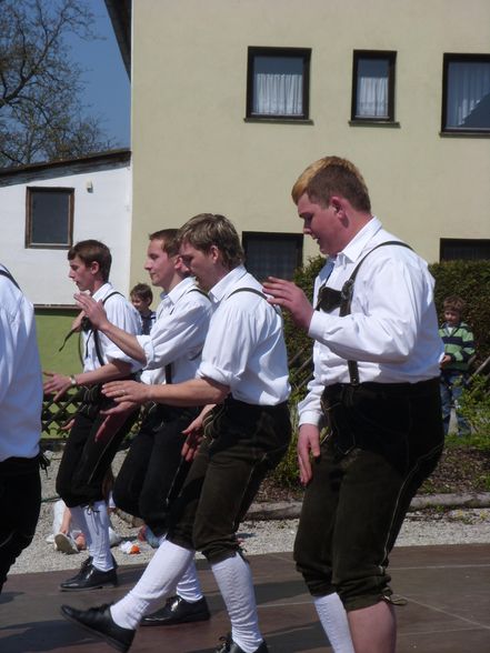 Maibaumsetzen 2008 - 