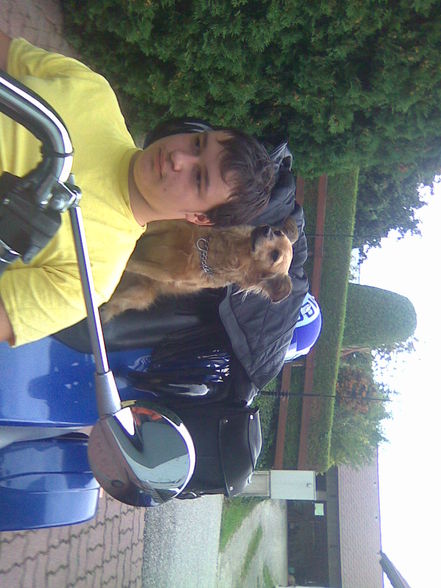 da hund kau moped foan - 