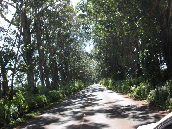 Kauai - Garden Island - 