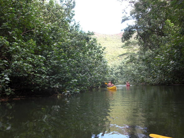 Kauai - Garden Island - 