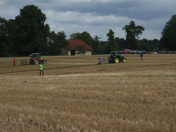 Bezirkspflügen in Laakirchen - 