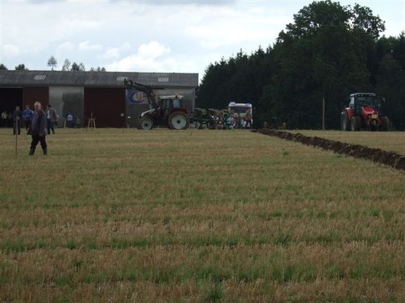 Bezirkspflügen in Laakirchen - 