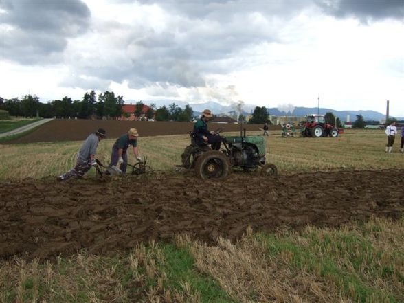 Bezirkspflügen in Laakirchen - 