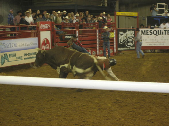 Rodeo & Fußballspiel - 