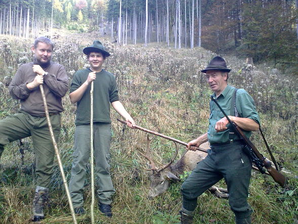 Jagen Großraminger hintergebirge - 