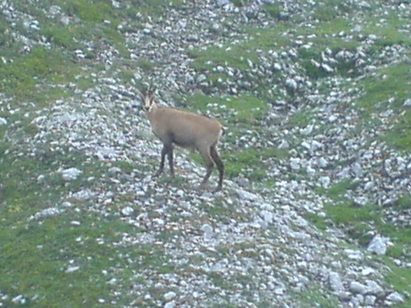 Hochschwab :) - 