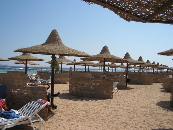 Badeurlaub in Ägypten Okt. 08 - 