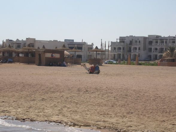 Badeurlaub in Ägypten Okt. 08 - 