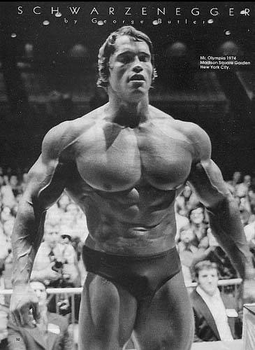 Arnold - 